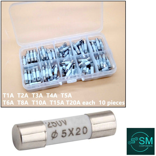 100PCS M205 5x20mm SLOW Blow Ceramic Fuses R054 250V 1~2~3~4~5~6~8~10~15~20A Kit