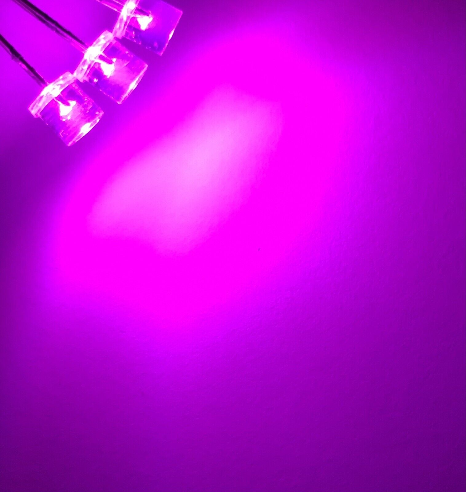 5MM F5 MAGENTA Purple-Pink Led Light Emitting Diode 100pcs Clear Flat ...