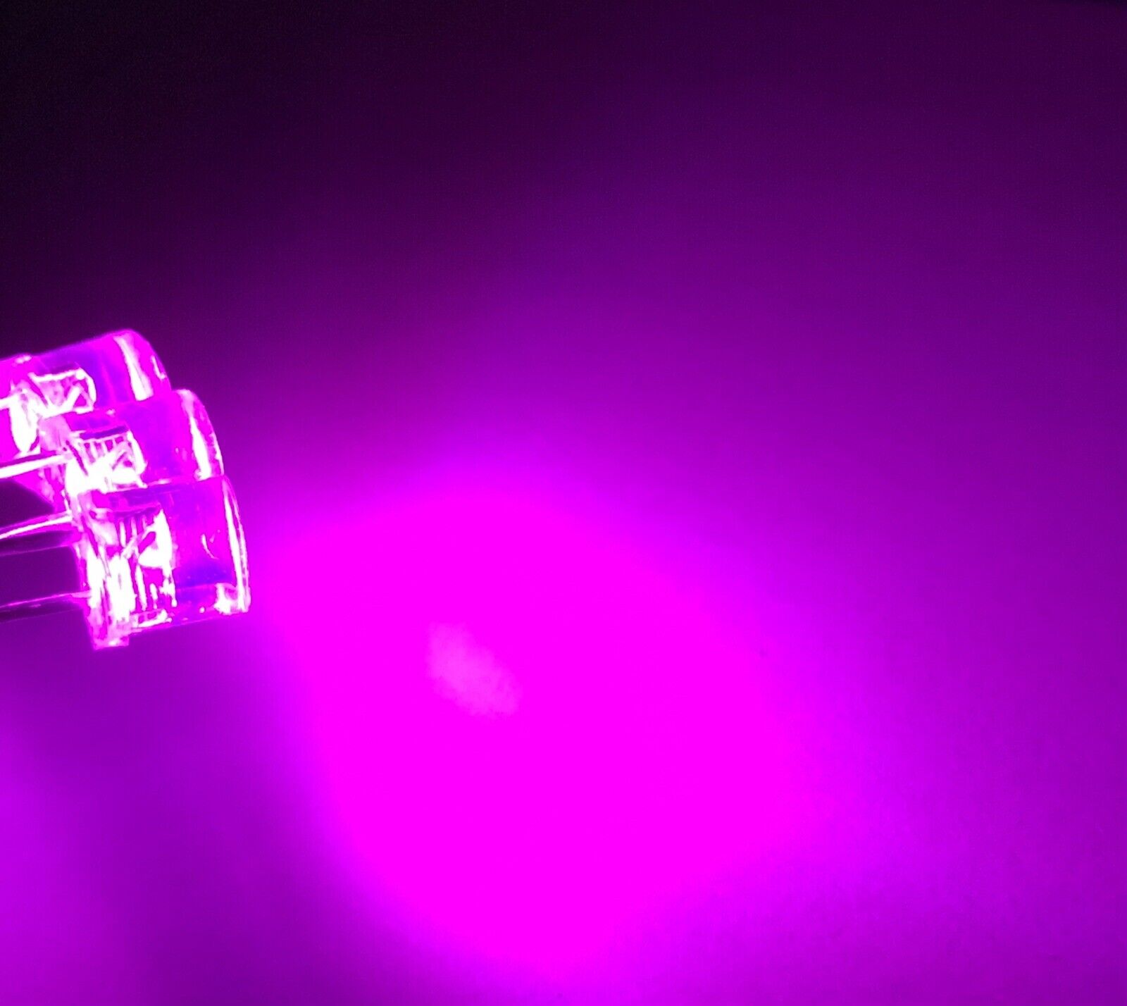 5MM F5 MAGENTA Purple-Pink Led Light Emitting Diode 100pcs Clear Flat ...