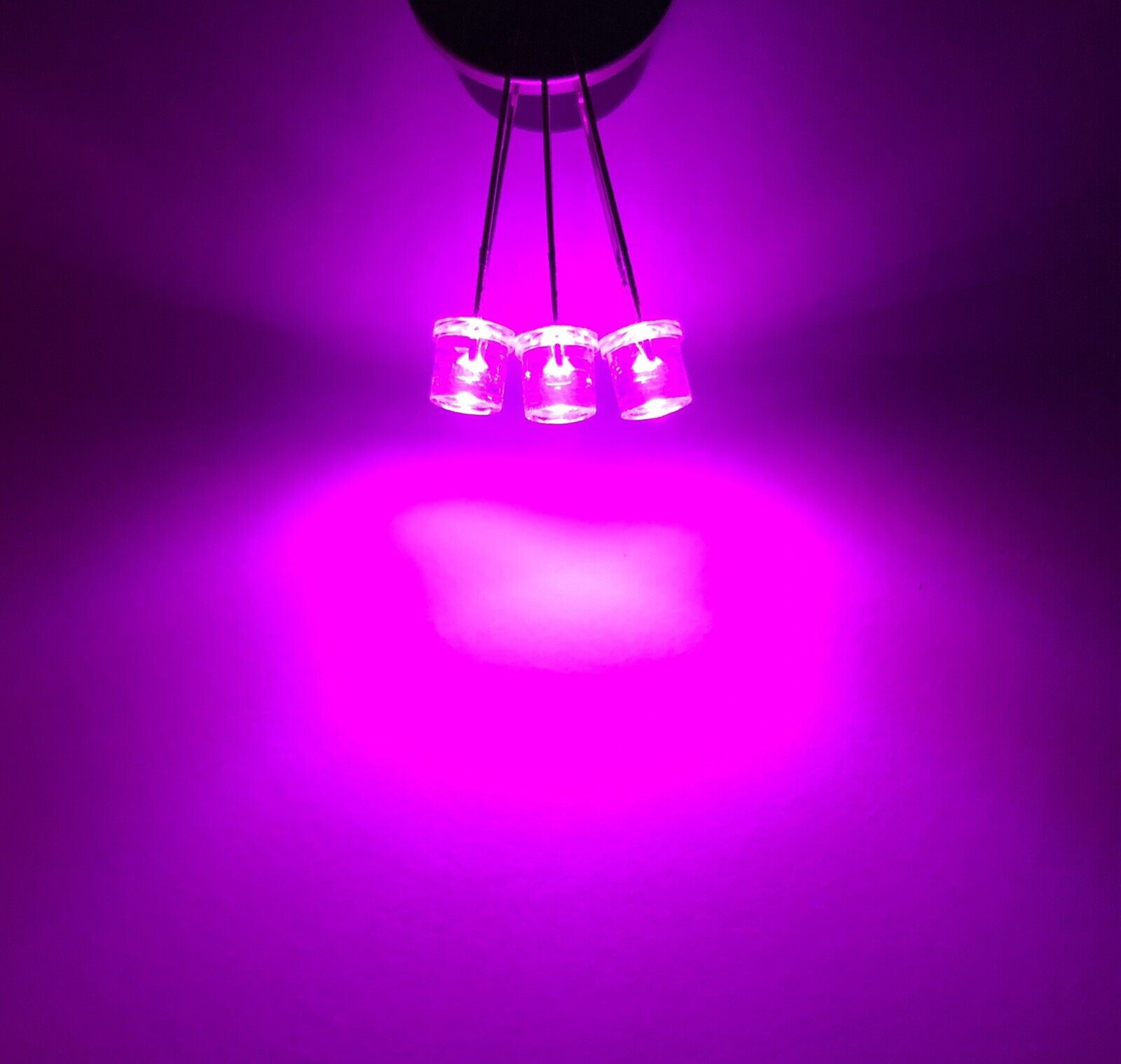 5MM F5 MAGENTA Purple-Pink Led Light Emitting Diode 100pcs Clear Flat ...