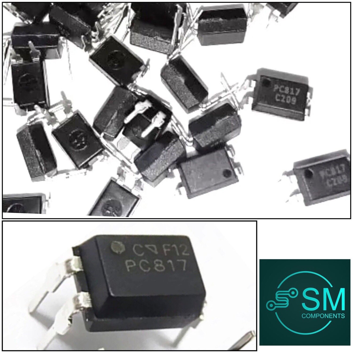 Integrated Circuit Chips